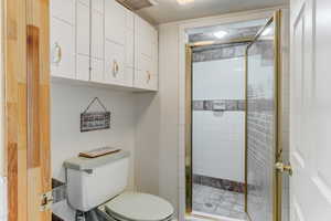 Bathroom featuring toilet and a shower stall