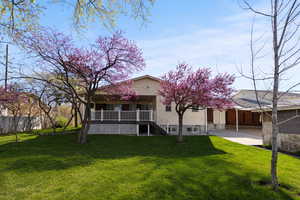 Back of property featuring a lawn, a patio, and a wooden deck