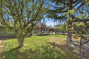 View of yard featuring a patio