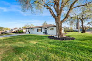 Single story home with driveway