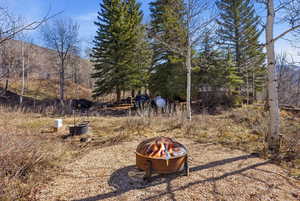 Back yard with a fire pit