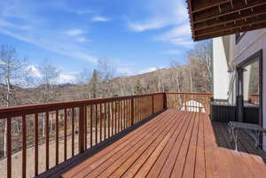 View of wooden deck