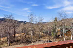 View of mountain backdrop