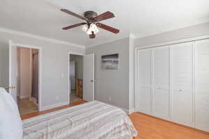 Bedroom with light wood finished floors, a closet, crown molding, and ceiling fan
