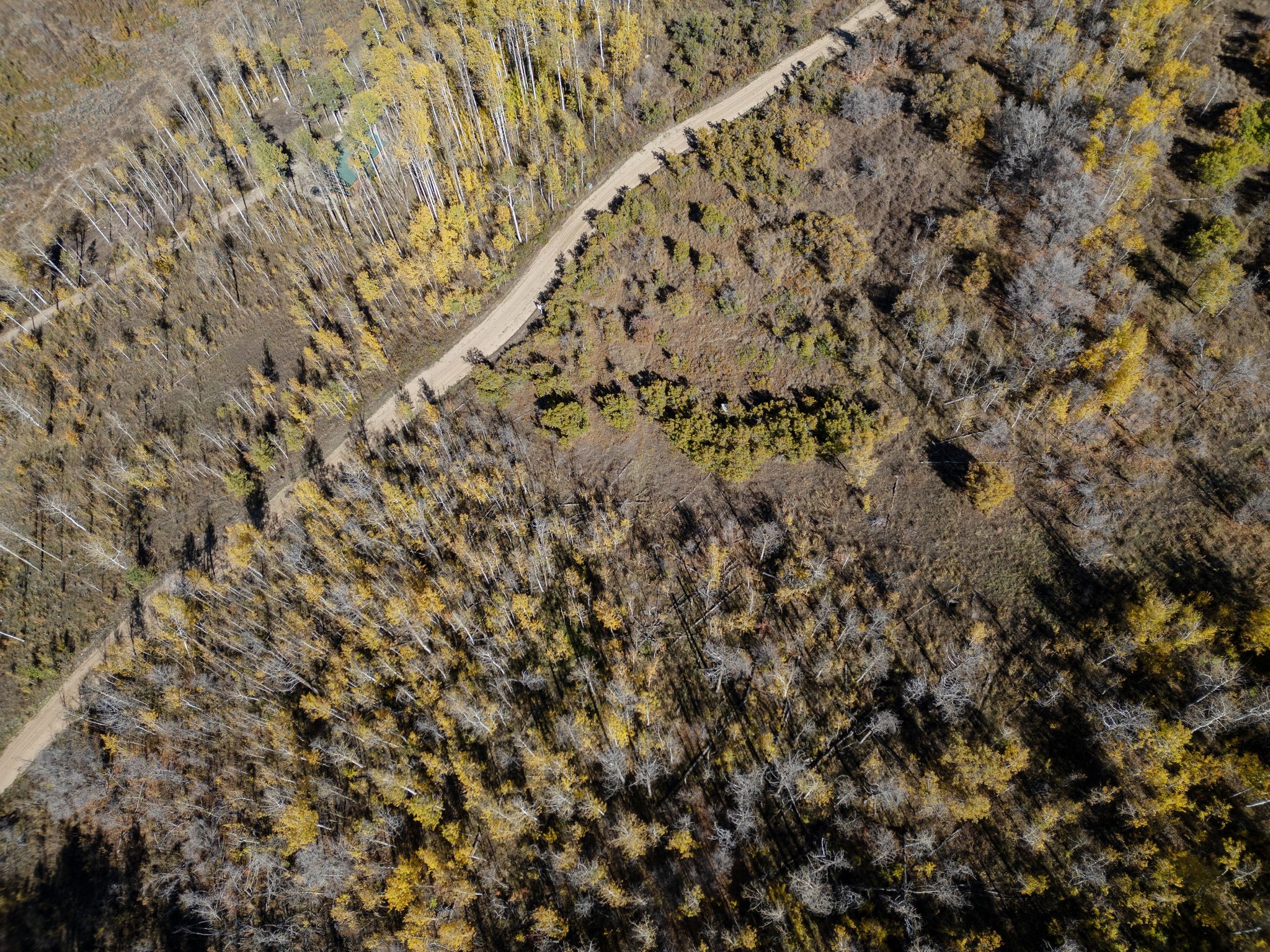 Drone / aerial view of a heavily wooded area