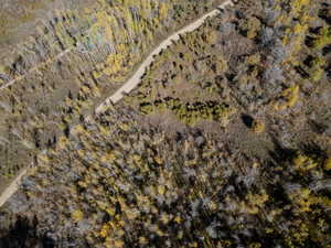 Drone / aerial view of a heavily wooded area
