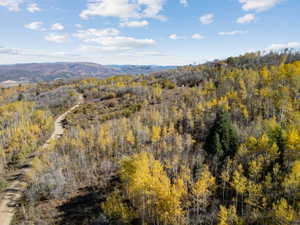 View of mountain backdrop with a heavily wooded area