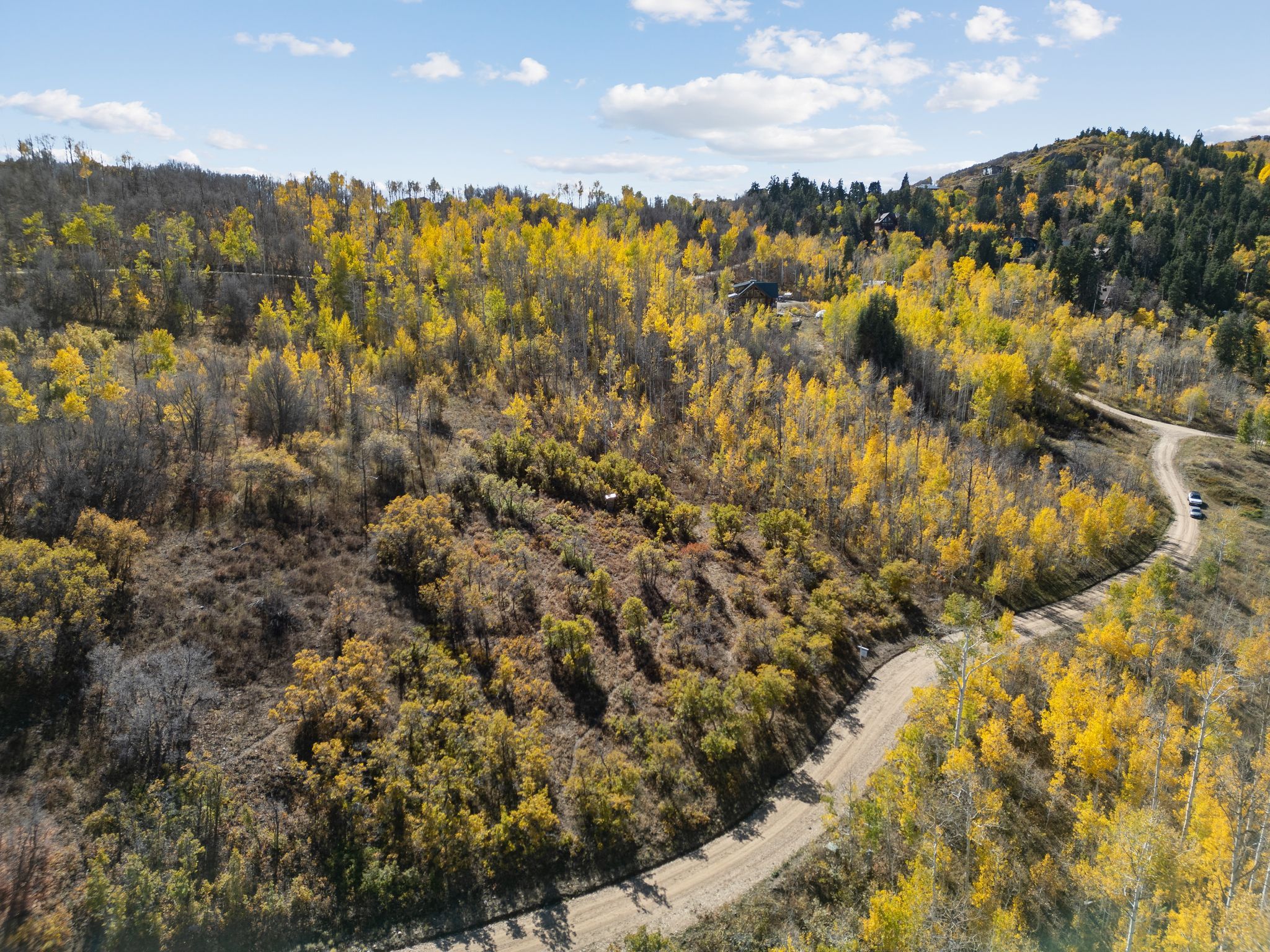 Aerial view of a heavily wooded area
