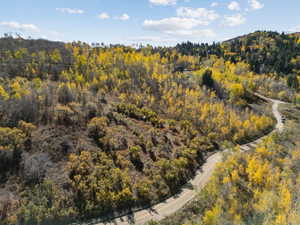 Aerial view of a heavily wooded area