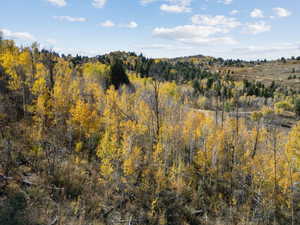 View of nature
