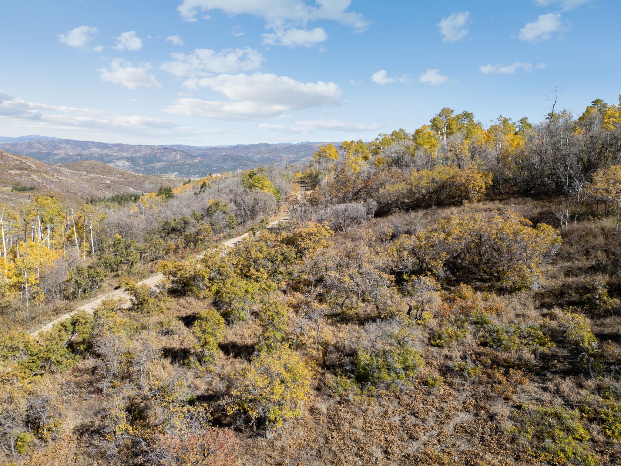 Mountain view featuring a heavily wooded area