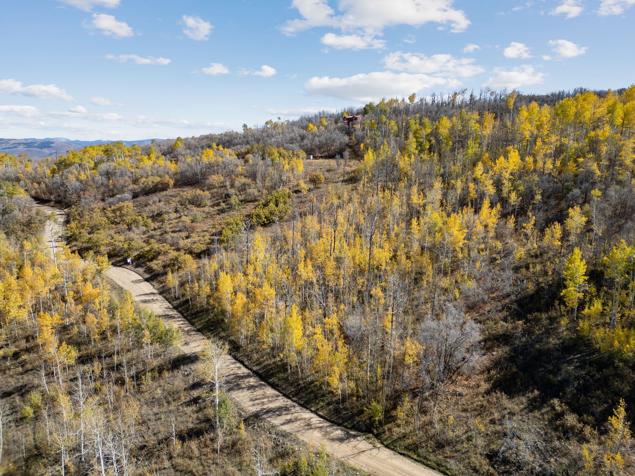 Bird's eye view of a heavily wooded area