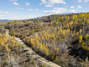 Bird's eye view of a heavily wooded area