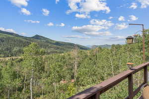 View of mountain background featuring a heavily wooded area