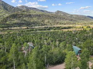 View of mountain background with a heavily wooded area