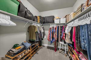 Walk in closet featuring light colored carpet