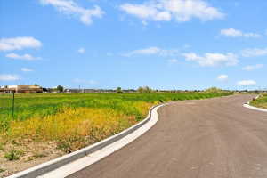 View of asphalt road with curbs
