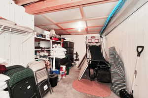 Lower level LARGE storage room