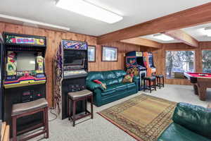 Amazing lower level game room/family room