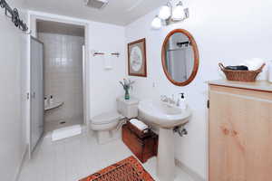 Lower level bathroom