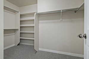 Walk in closet featuring light carpet