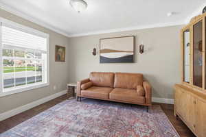 Living area featuring crown molding and dark wood-type flooring