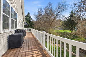 Wooden deck with grilling area