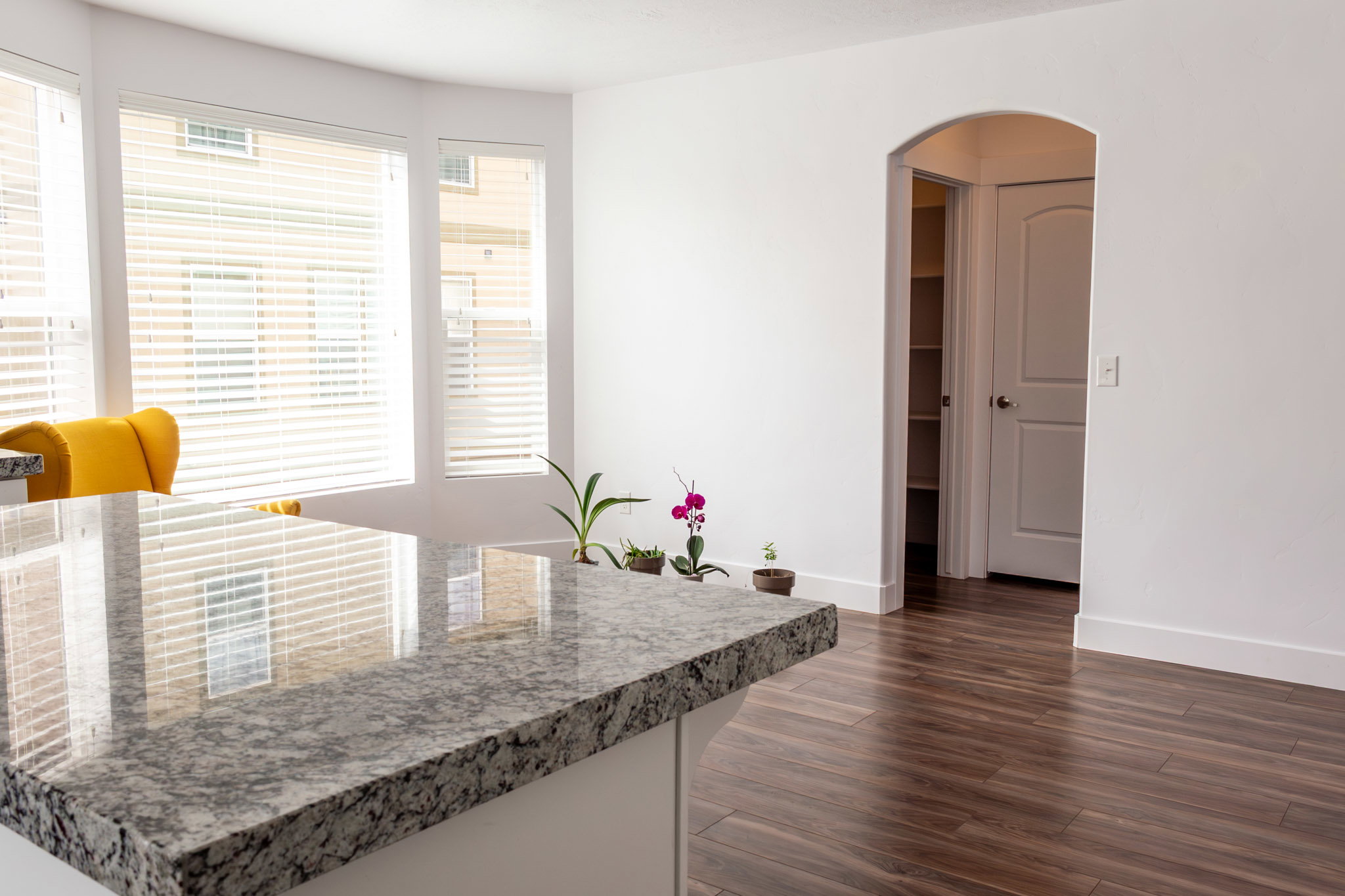 Kitchen with arched walkways and dark wood finished floors