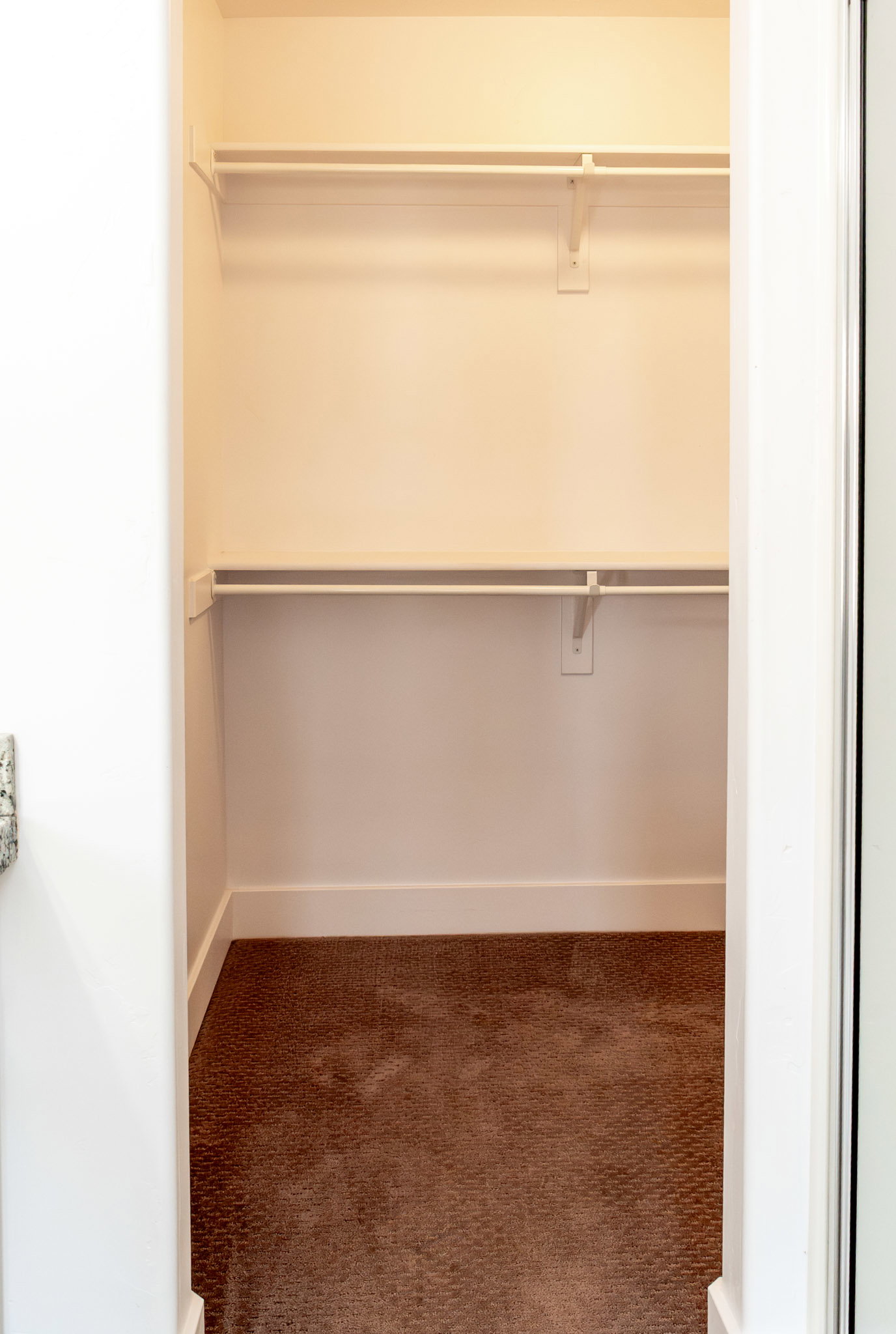 Walk in closet featuring dark colored carpet