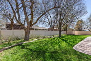 Fenced backyard with a storage shed