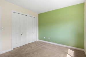 Room featuring a light green accent wall, neutral carpeting, and white baseboards