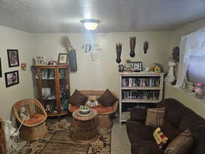 Sitting room featuring a textured ceiling and carpet flooring