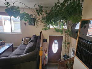Carpeted foyer with plenty of natural light and a textured ceiling