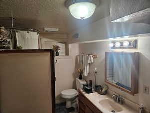 Bathroom featuring vanity, a textured ceiling, and a shower with curtain