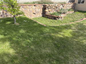 View of grassy yard