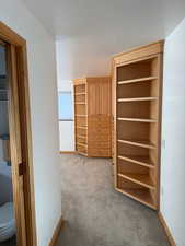 View of closet