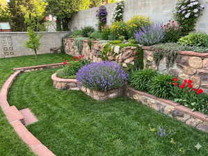View of fenced backyard