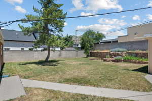 Expansive rear yard featuring a mature tree, concrete patio and walkway, a stone-faced retaining wall, and block perimeter fencing