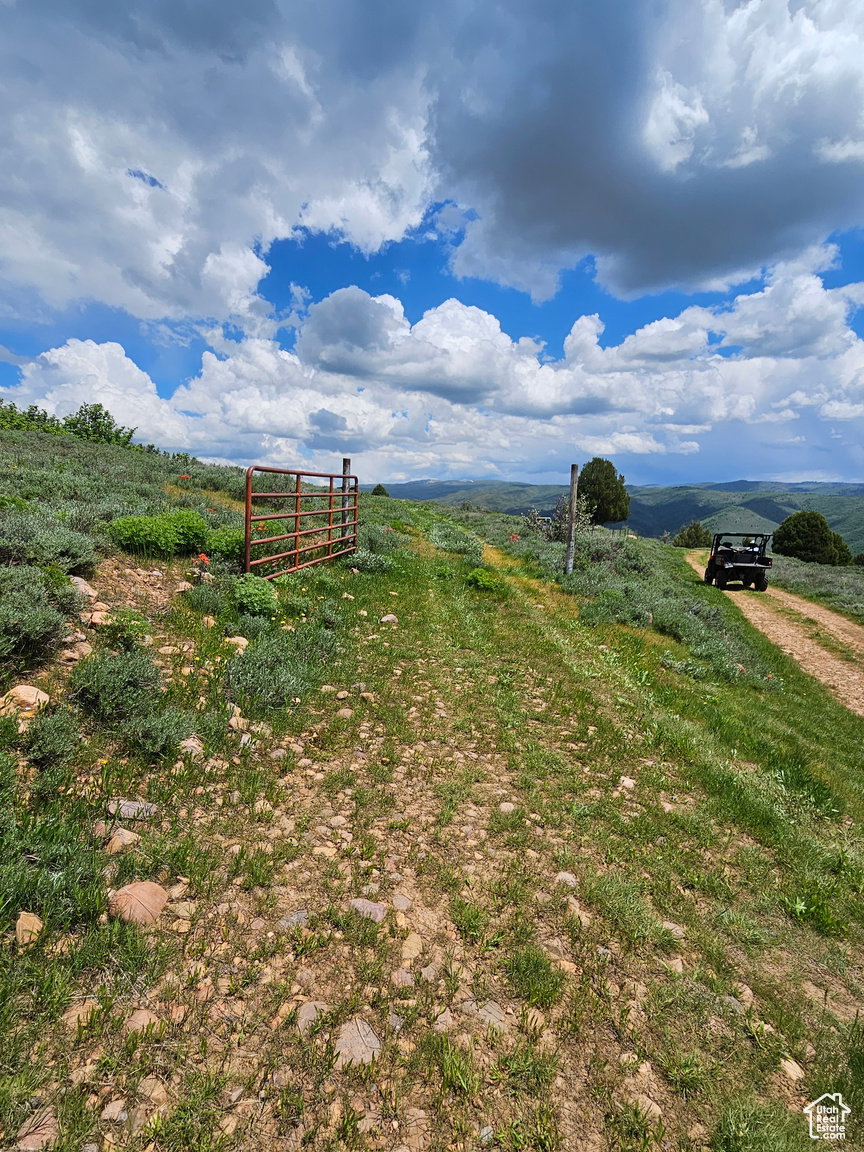 View of yard featuring a view of rural / pastoral area