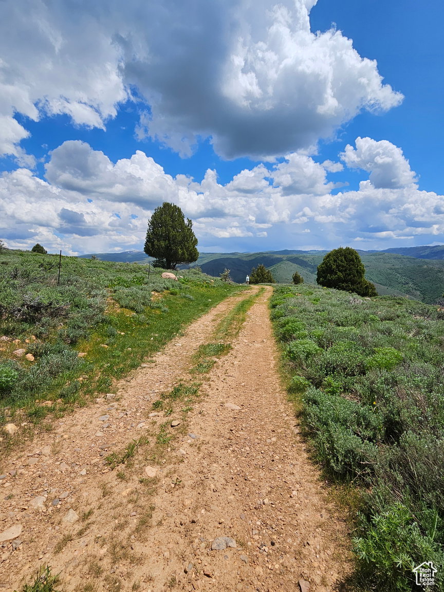View of dirt / gravel road with a view of rural / pastoral area and agricultural area