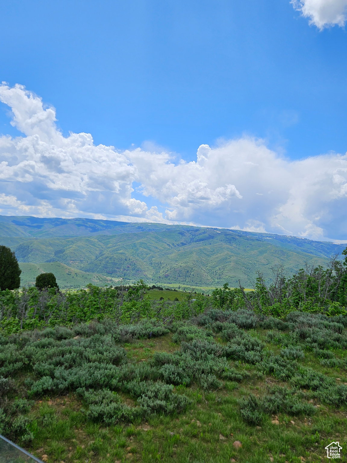 Mountain view