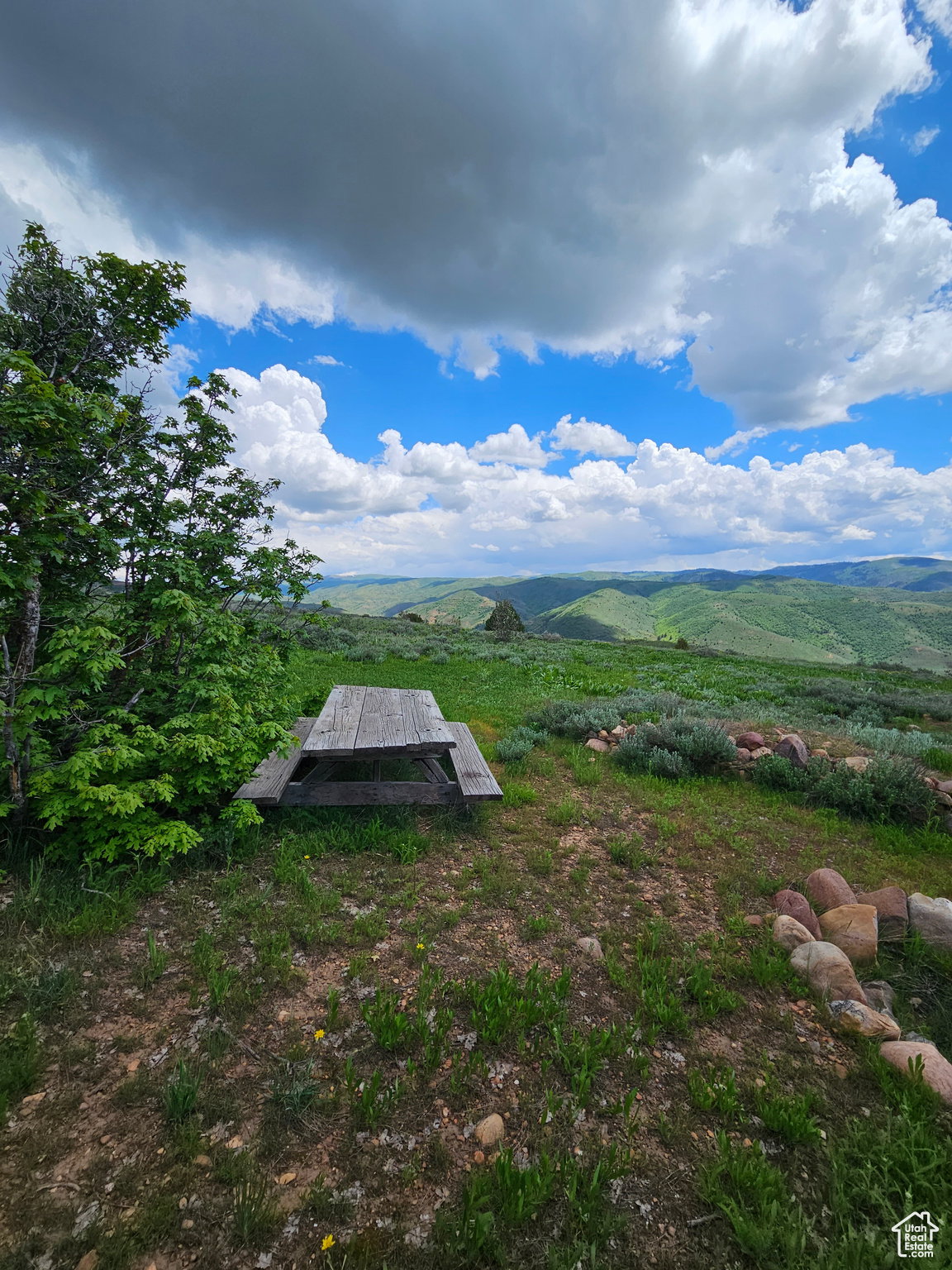View of yard with a mountain view