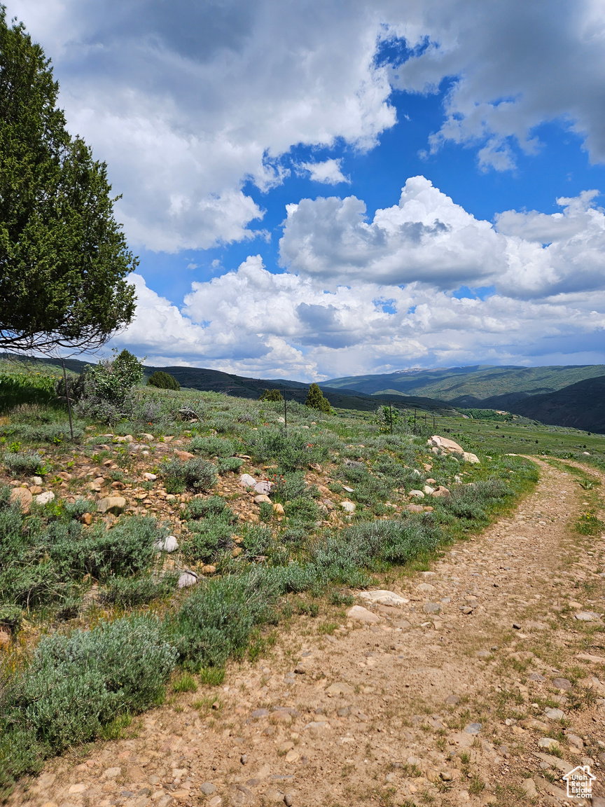 View of road with a mountain view