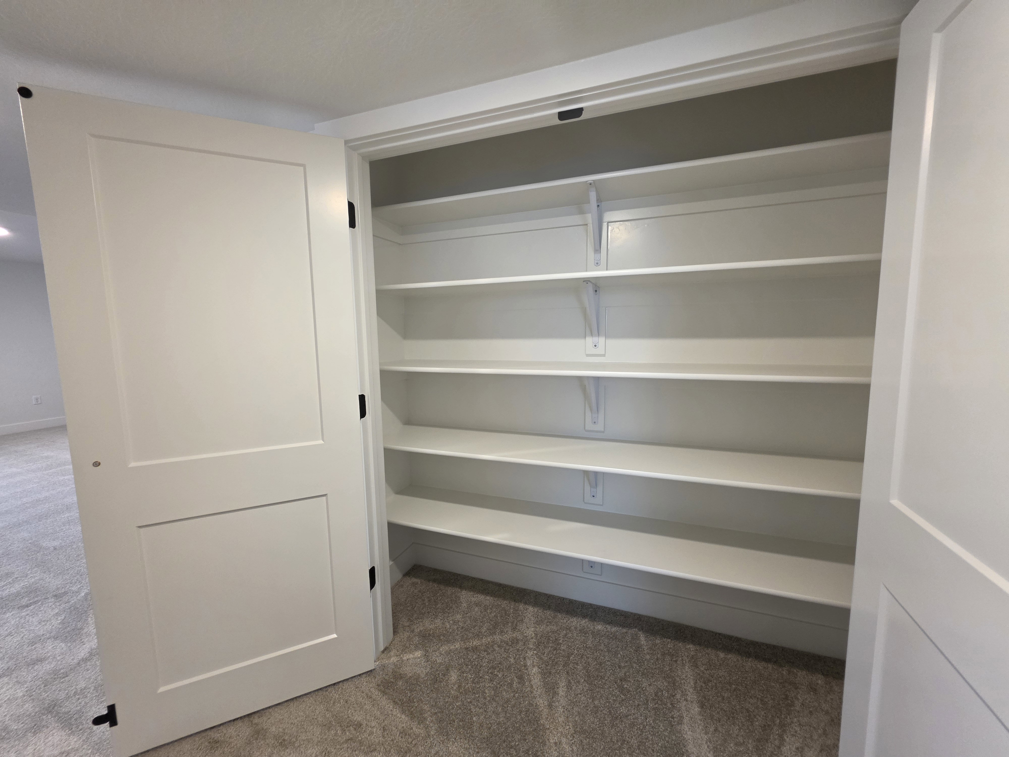 Built-in shelving unit with multiple white shelves, a neutral carpeted floor, and contemporary two-panel interior doors