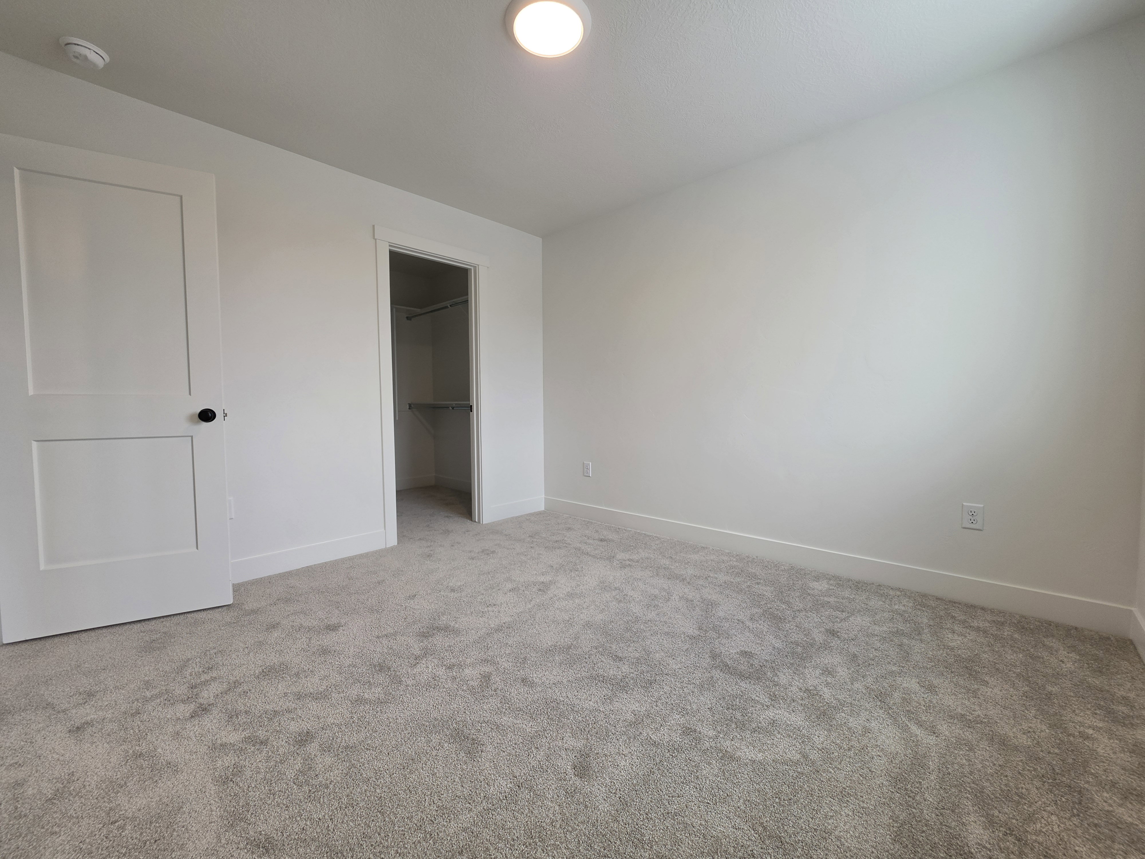 Carpeted room with a walk-in closet featuring built-in shelving