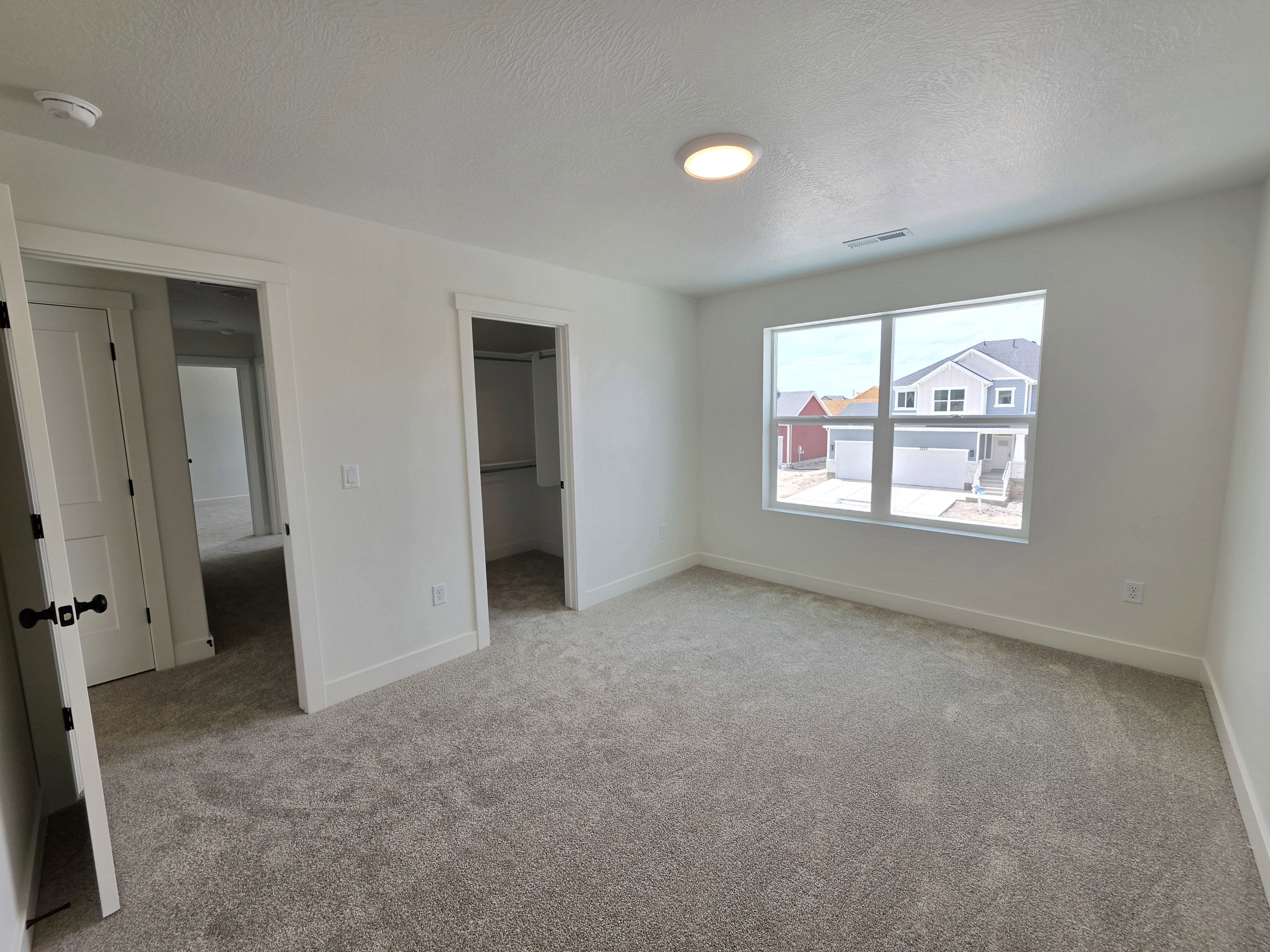 Carpeted interior room featuring a large window, a walk-in closet, a ceiling-mounted light fixture, and two interior doorways