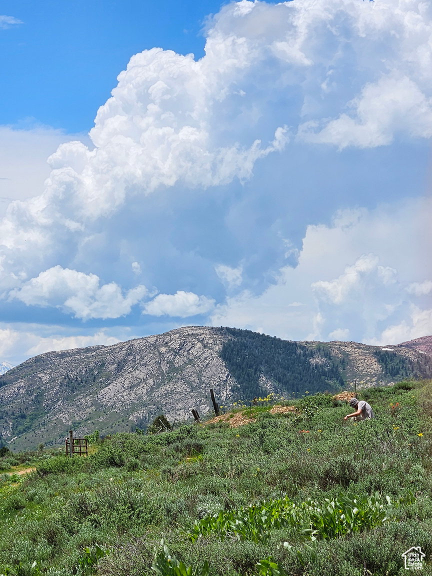 View of mountain background