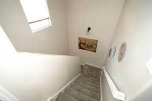 Stairs featuring carpet flooring