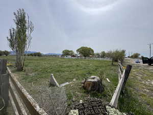 View of yard with a view of rural / pastoral area