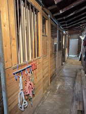 View of horse barn stalls